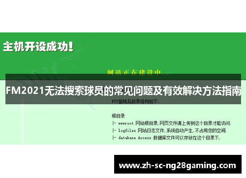 FM2021无法搜索球员的常见问题及有效解决方法指南