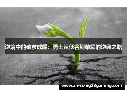 逆境中的破茧成蝶：勇士从低谷到荣耀的逆袭之路