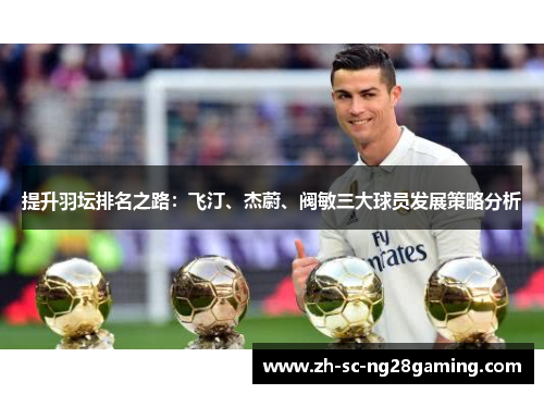提升羽坛排名之路：飞汀、杰蔚、阀敏三大球员发展策略分析