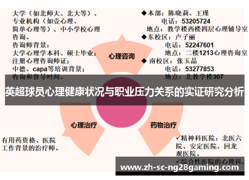 英超球员心理健康状况与职业压力关系的实证研究分析 英超球员心理健康状况与职业压力关系的实证研究分析