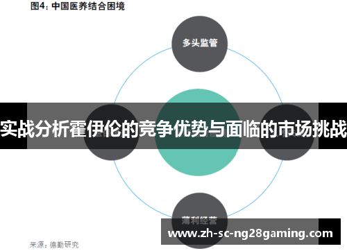 实战分析霍伊伦的竞争优势与面临的市场挑战 实战分析霍伊伦的竞争优势与面临的市场挑战