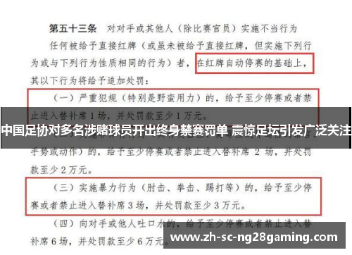 中国足协对多名涉赌球员开出终身禁赛罚单 震惊足坛引发广泛关注