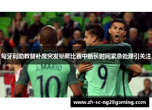 匈牙利助教替补席突发晕厥比赛中断长时间紧急处理引关注